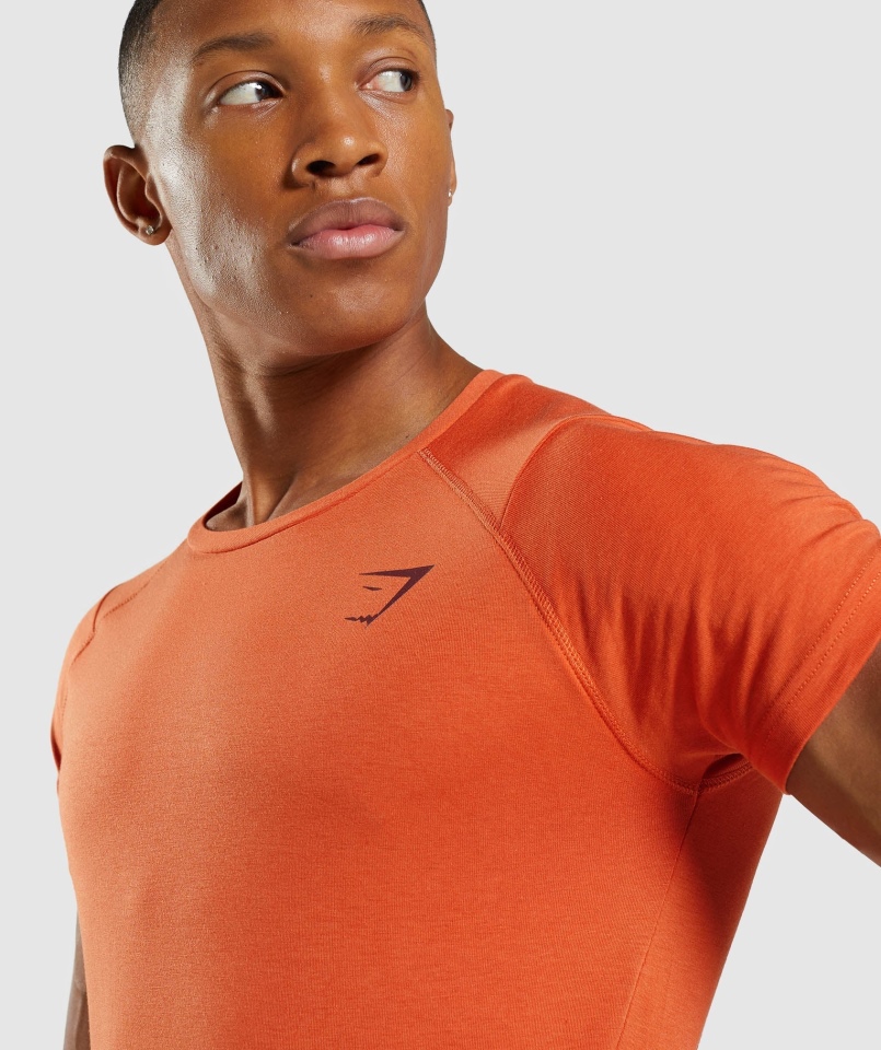 Gymshark Odważny T-shirt Męski Glina Pomarańczowy