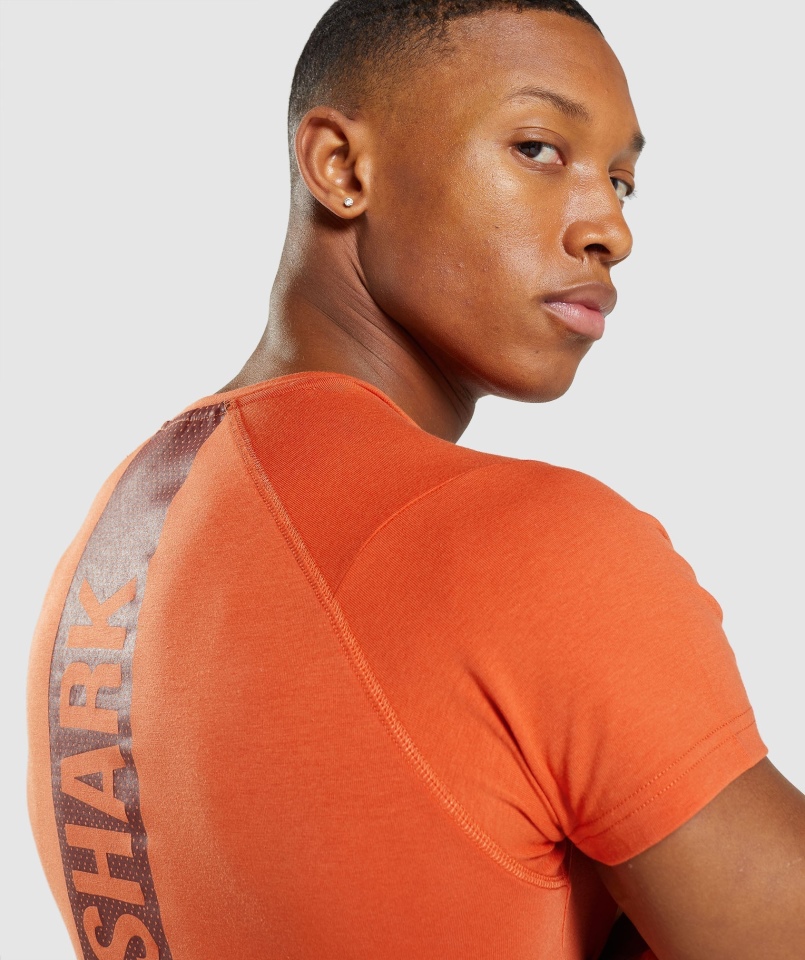 Gymshark Odważny T-shirt Męski Glina Pomarańczowy