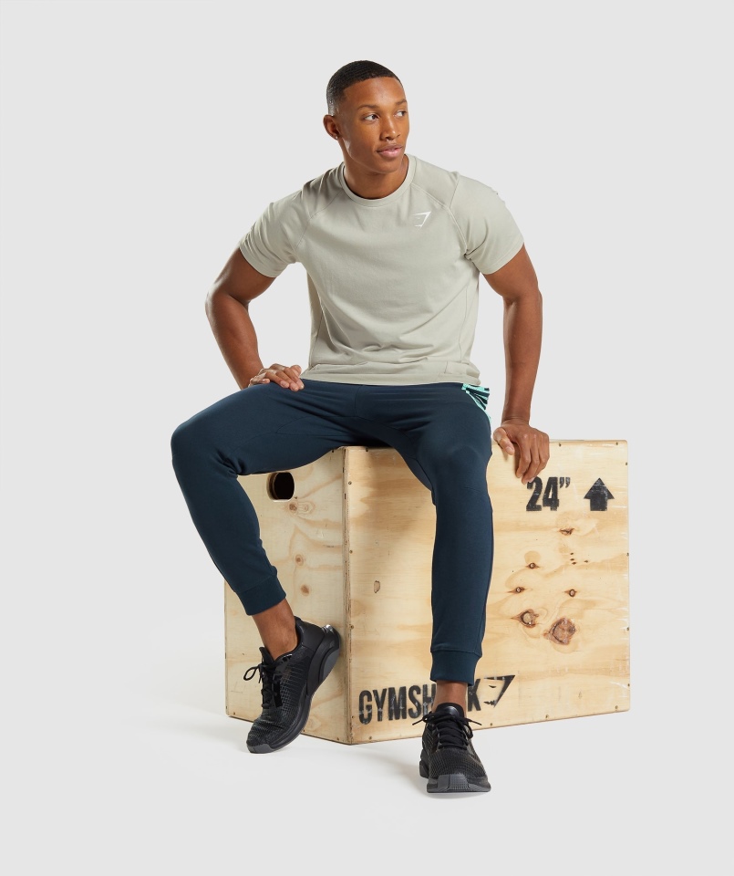 Gymshark Odważna Koszulka Męska Pebble Grey