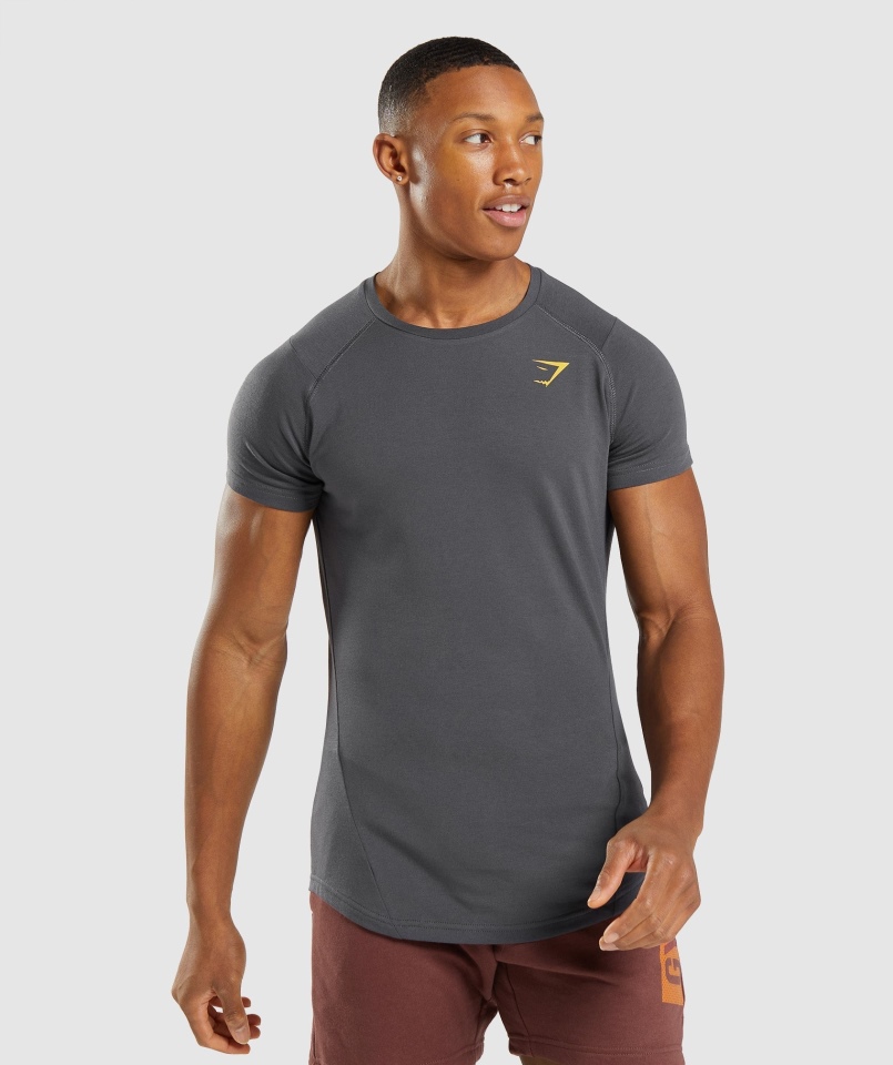 Gymshark Odważny T-shirt Szary Onyks