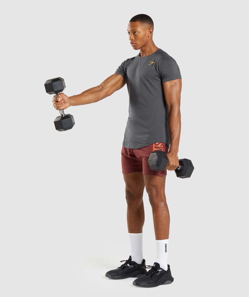 Gymshark Odważny T-shirt Szary Onyks