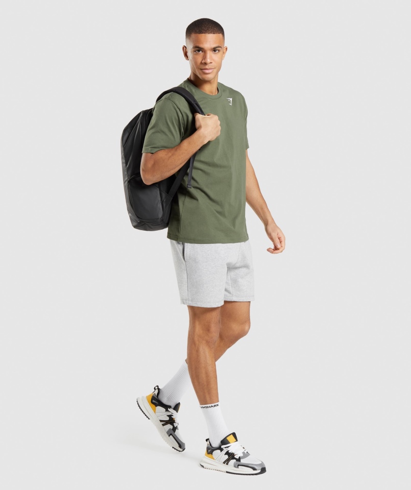 Spodenki Gymshark Z Herbem Jasnoszare Rdzeń Marl