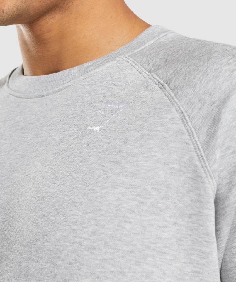 Gymshark Bluza Z Herbem Jasnoszara Rdzeń Marl