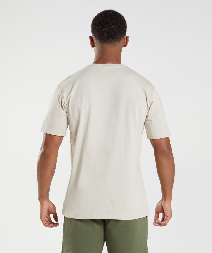 Koszulka Gymshark Z Herbem Pebble Grey