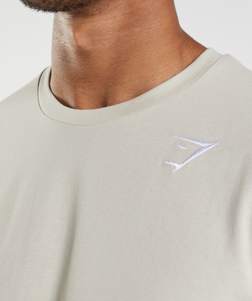 Koszulka Gymshark Z Herbem Pebble Grey