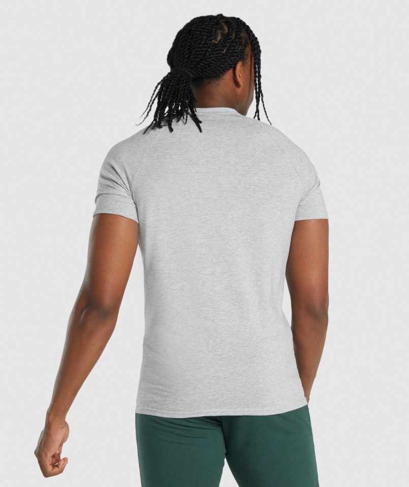 T-shirt Gymshark Krytyczny 2.0 Jasnoszary Melanż