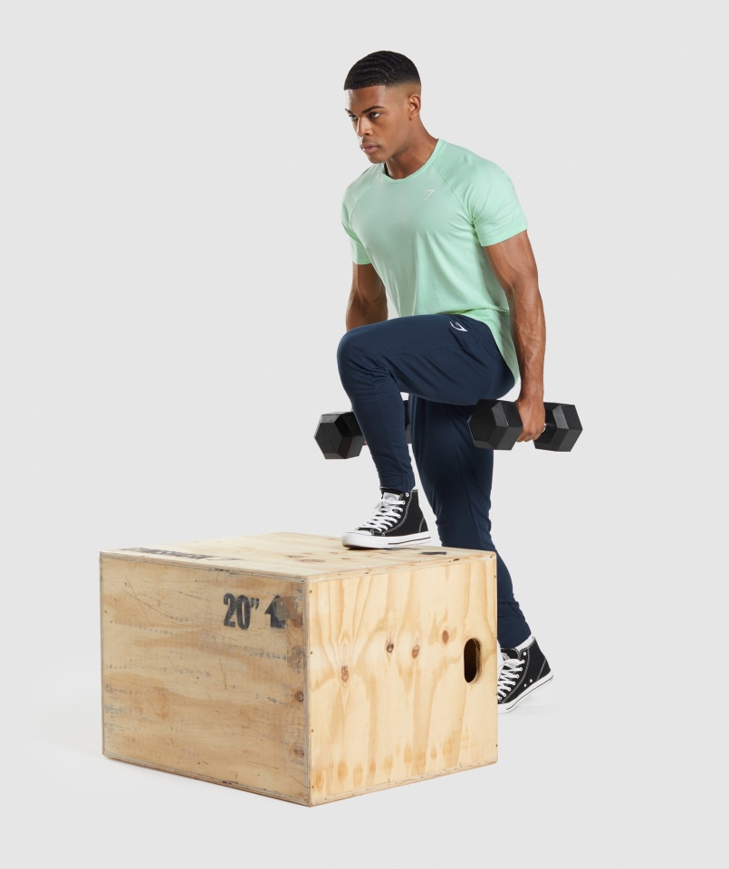 Spodnie Gymshark Krytyczne Granatowe