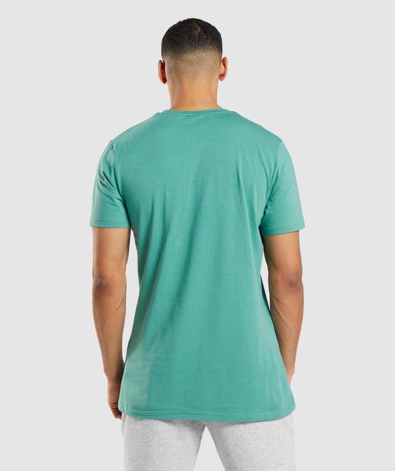 Gymshark Essential T-shirt Alpejska Zieleń