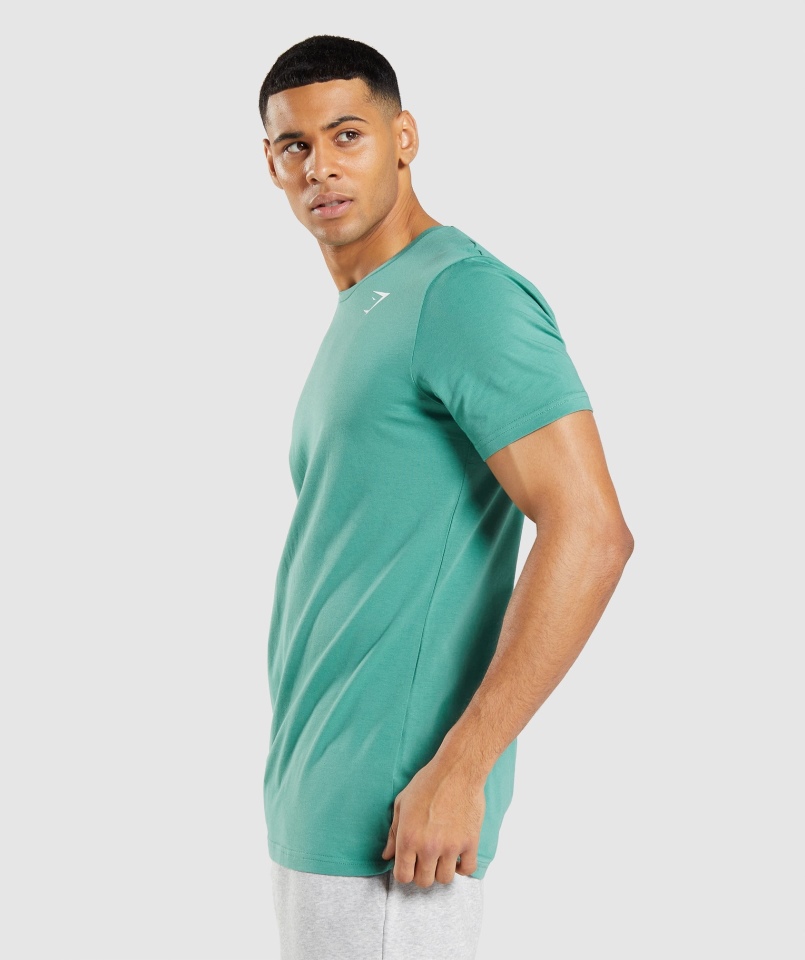 Gymshark Essential T-shirt Alpejska Zieleń