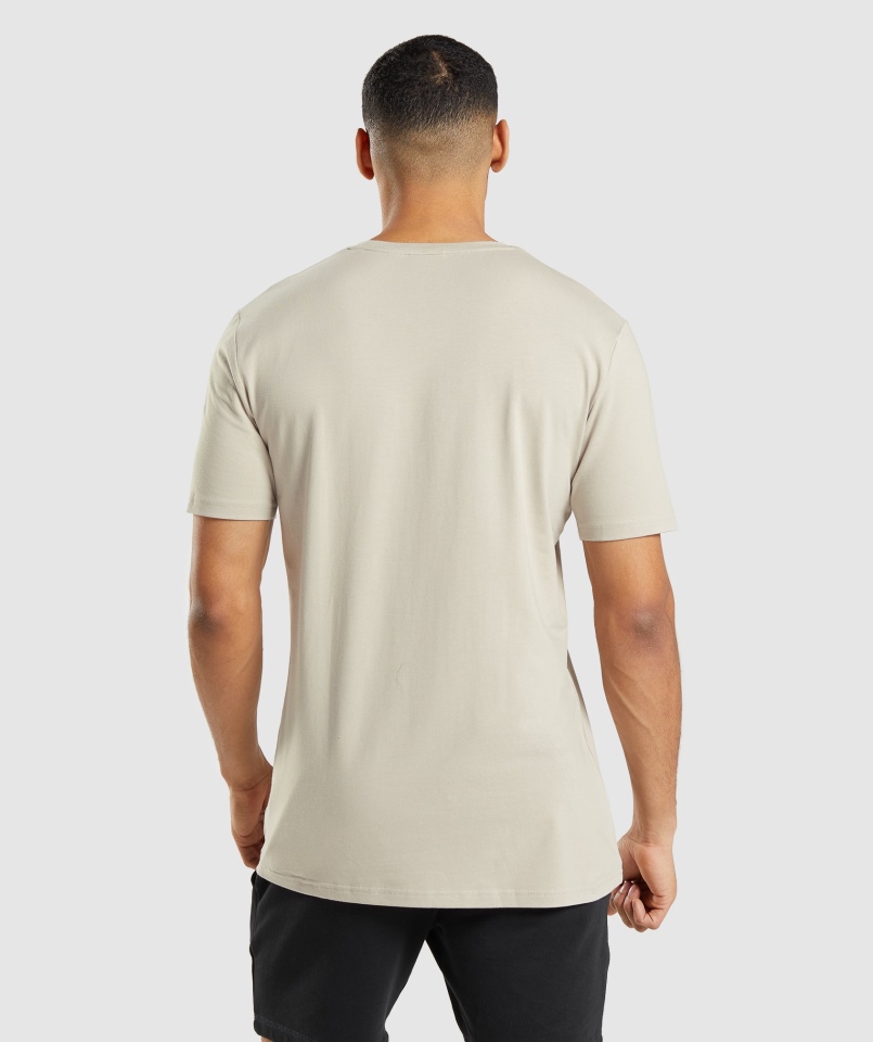 Gymshark Essential T-shirt Pebble Grey