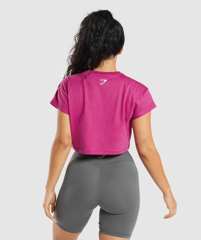 Gymshark Frakcja Crop Top Smok Różowy