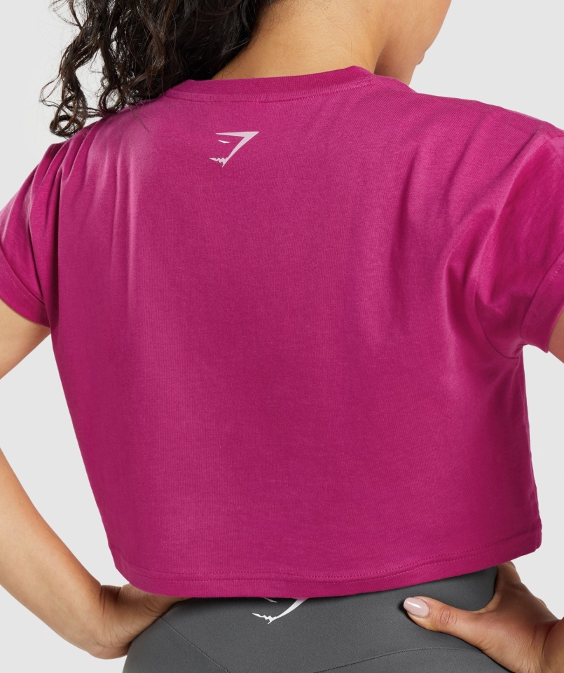 Gymshark Frakcja Crop Top Smok Różowy