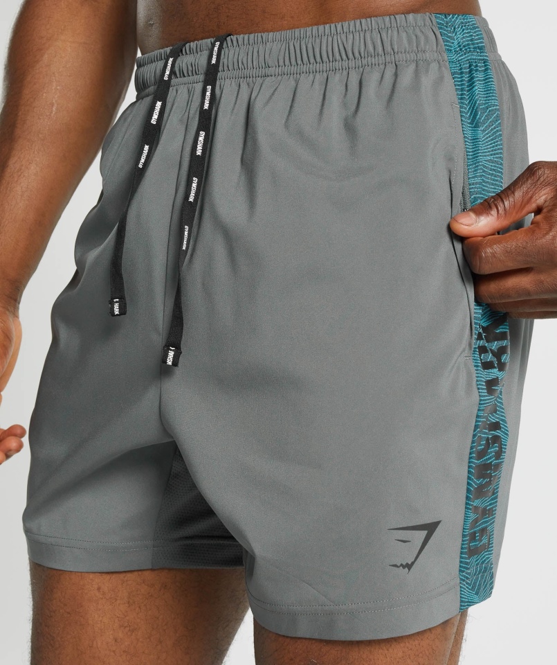 Gymshark Graficzne Spodenki Sportowe Szare