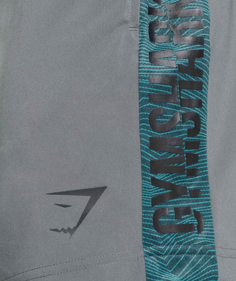 Gymshark Graficzne Spodenki Sportowe Szare