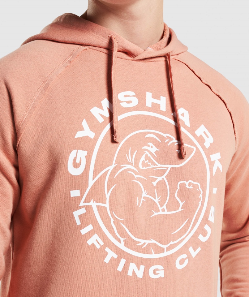 Gymshark Legacy Bluza Z Kapturem Nevada Różowa
