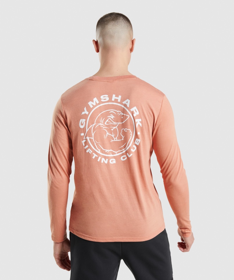 Gymshark Legacy T-shirt Z Długim Rękawem Nevada Pink