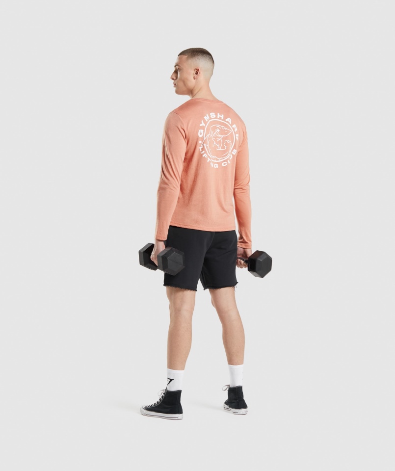 Gymshark Legacy T-shirt Z Długim Rękawem Nevada Pink