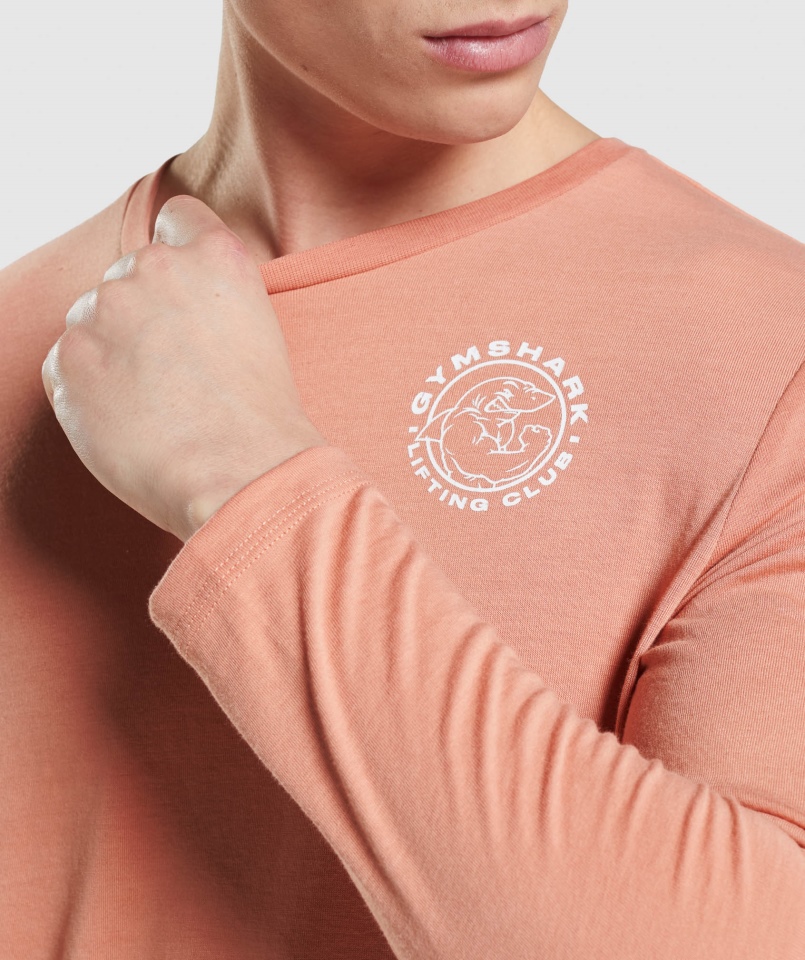 Gymshark Legacy T-shirt Z Długim Rękawem Nevada Pink