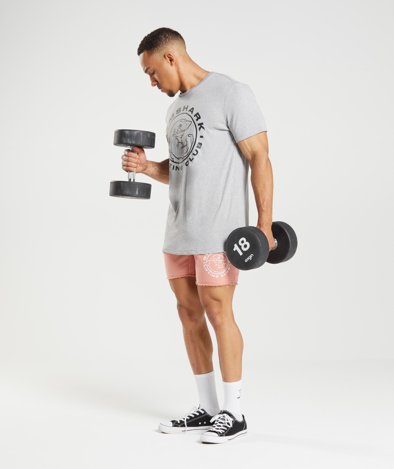 Gymshark Legacy T-shirt Jasnoszary Core Marl
