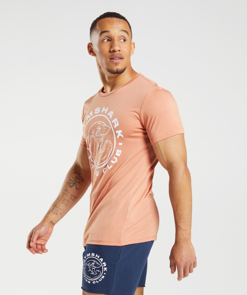 Gymshark Legacy T-shirt Nevada Różowy