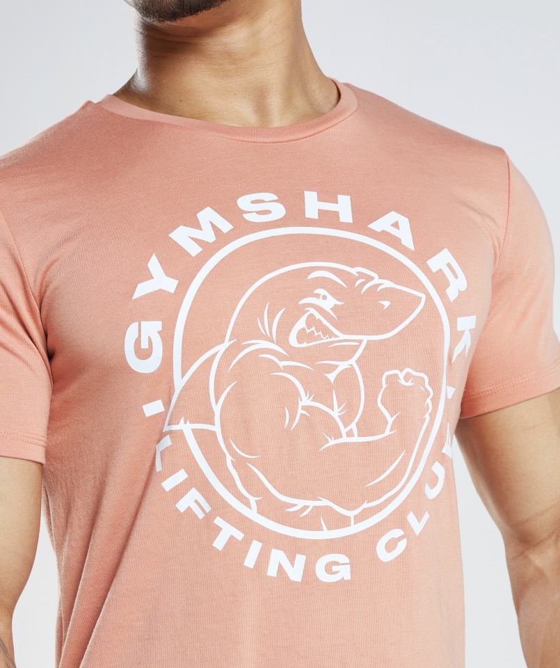 Gymshark Legacy T-shirt Nevada Różowy