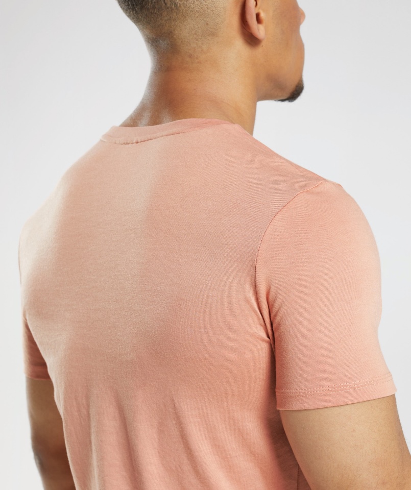 Gymshark Legacy T-shirt Nevada Różowy