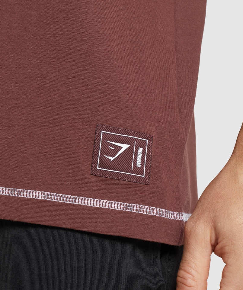 Koszulka Gymshark Wgłębienie Wiśnia Brązowo-biała