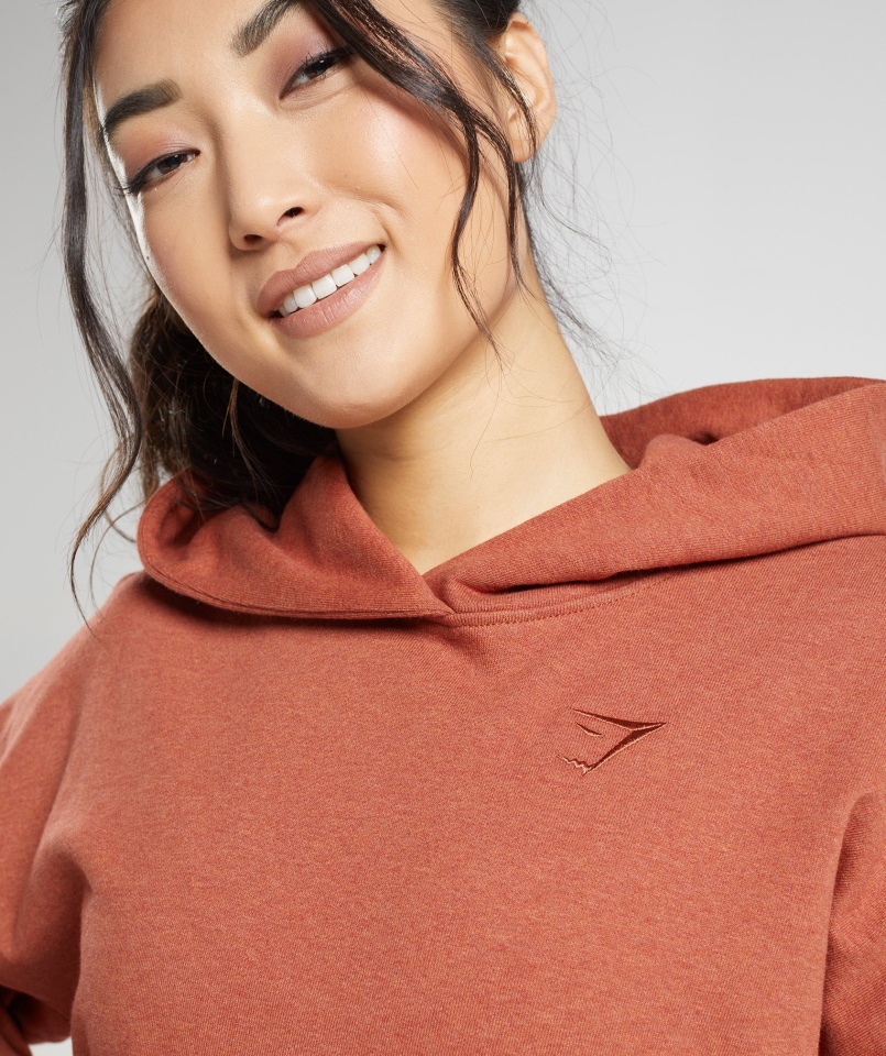 Gymshark Dzień Odpoczynku Bluza Z Kapturem Cynamonowy Brązowy Marl