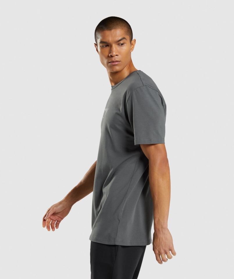 Gymshark Sharkhead Wypełnienie T-shirt Grafitowy