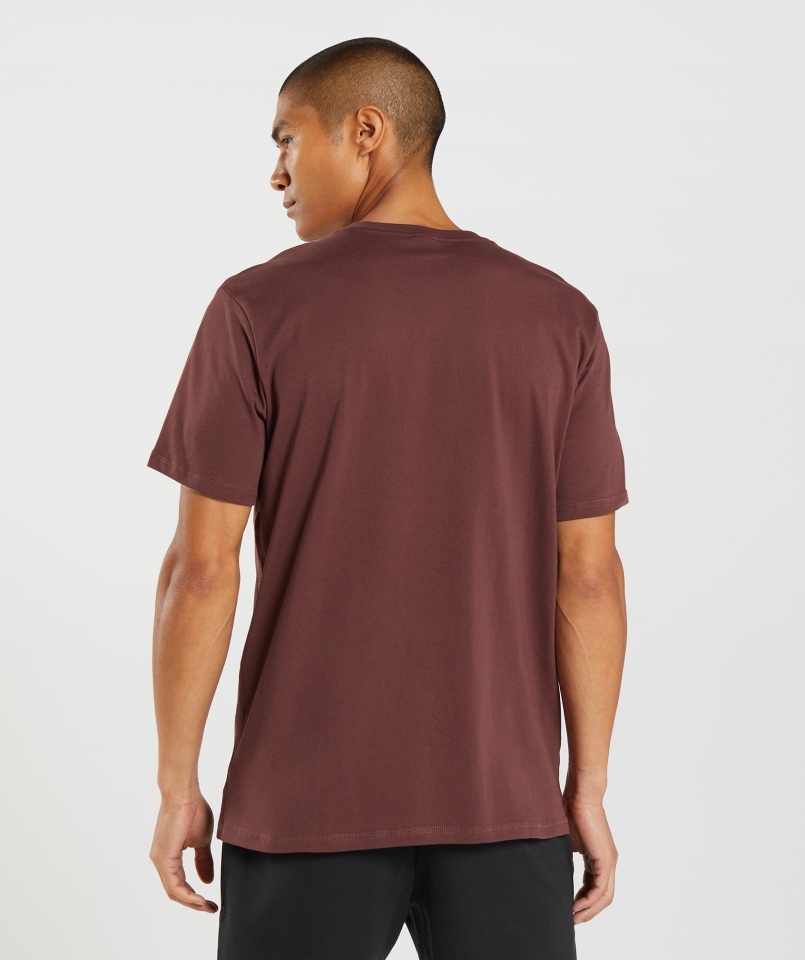 Gymshark Sharkhead Wypełnienie T-shirt Wiśniowy Brąz