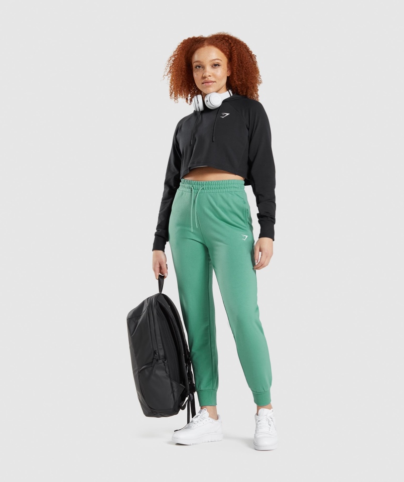 Joggery Treningowe Gymshark Alpejskie Zielone