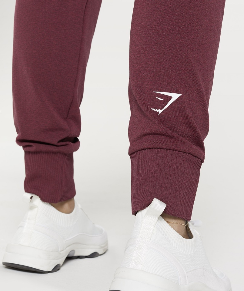 Gymshark Vital Bezszwowe Joggery 2.0 Pieczone Bordowe Marl